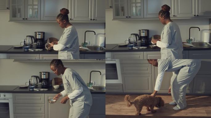 非裔美国医生在家中统一喂养宠物马耳蒂犬