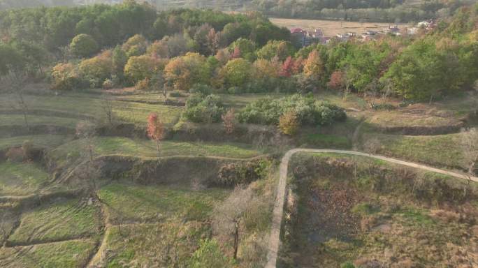 【21元】大悟县大别山红叶景区