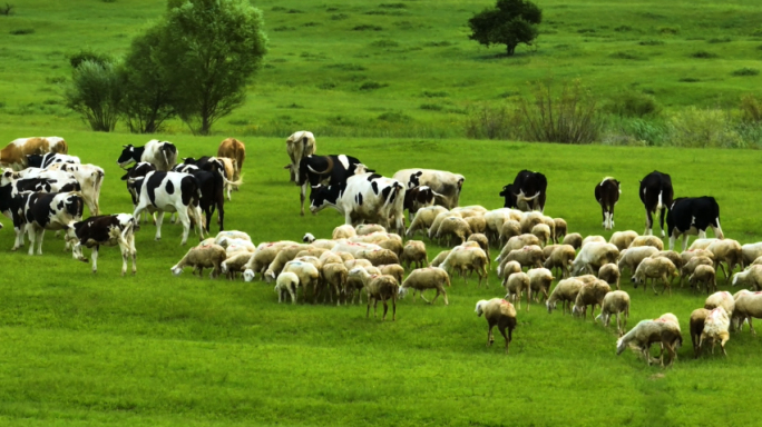 草原成群的牛羊