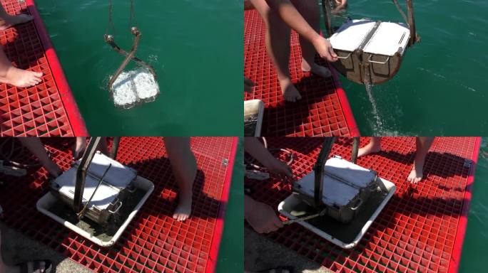 海洋研究:海底动物取样器(抓底器)在科考船的甲板上升起。