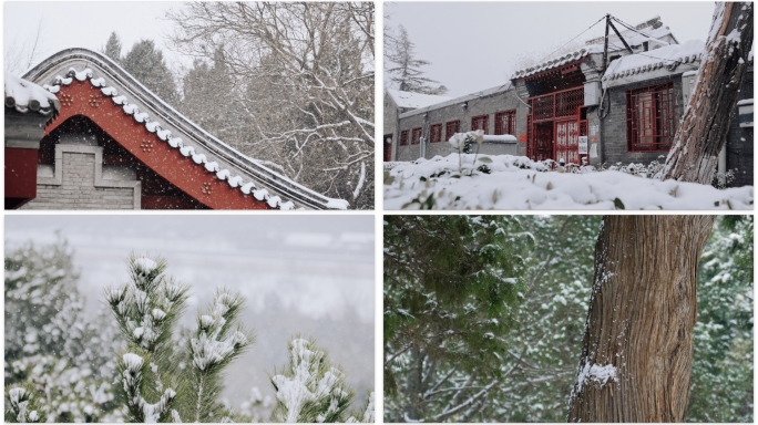 老北京唯美雪景特写