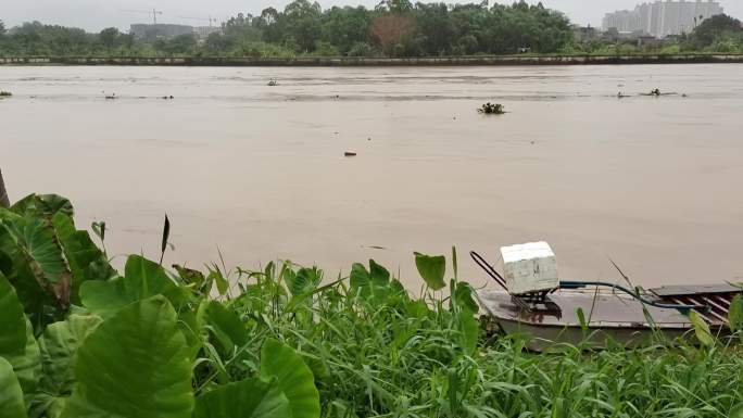 暴雨河水 洪水涨水 河水上涨 河流涨水