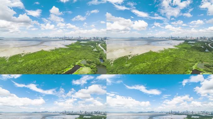 5.2K深圳湾红树林航拍延时摄影素材