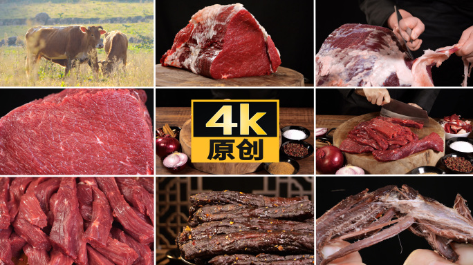 牛肉干牛肉风干牛肉牛肉干制作流程