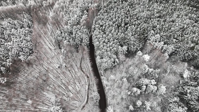 重庆南川金佛山山王坪景区雪景航拍