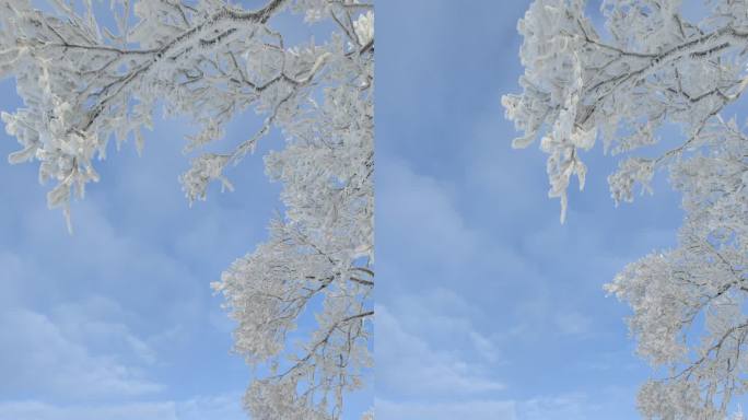 ⚝4K竖屏⚝原始素材东北雪景雾凇雪凇树挂