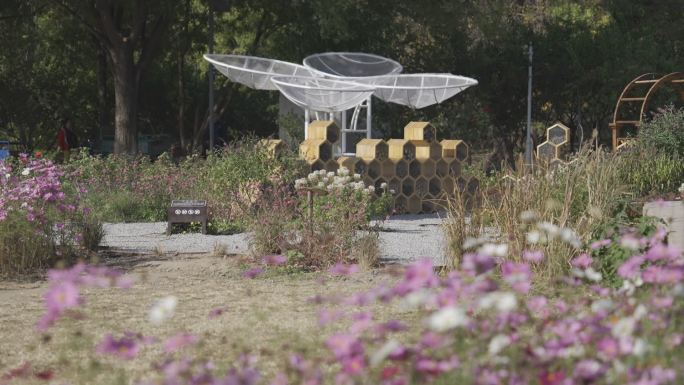 北京奥林匹克森林公园建筑景色植物花朵奥森