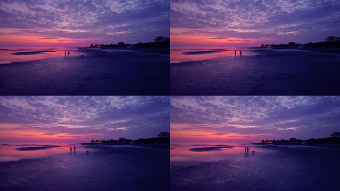 一对夫妇和他们的狗在紫色的夕阳下漫步在沙滩上