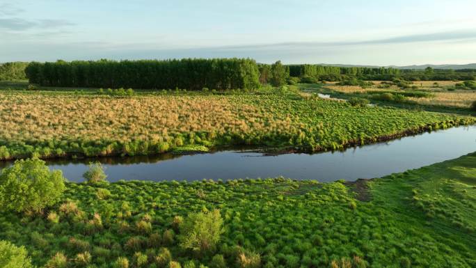 大兴安岭湿地风光扎敦河夏日风景