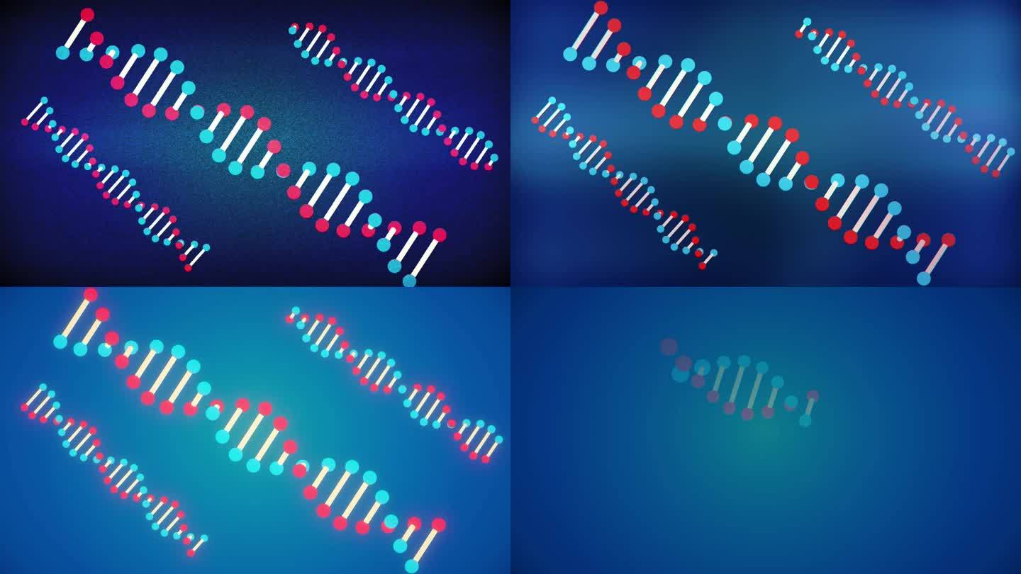 五组滤镜DNA动画