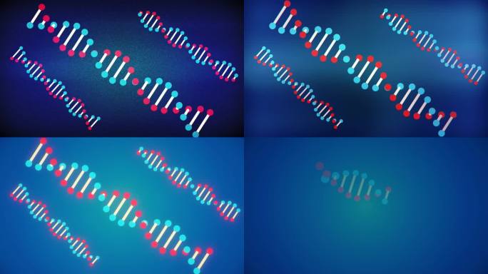 五组滤镜DNA动画