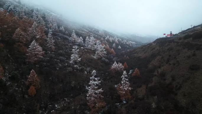 川西唯美秋景雪景航拍4K
