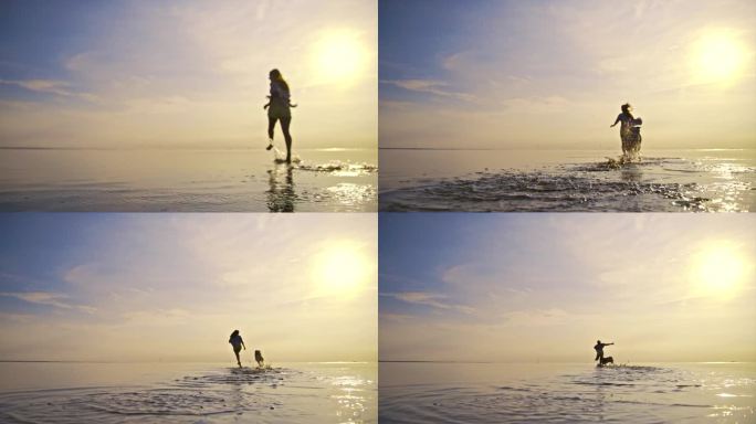 日落时分，一名女子带着她的狗在海滩上的浅水里奔跑