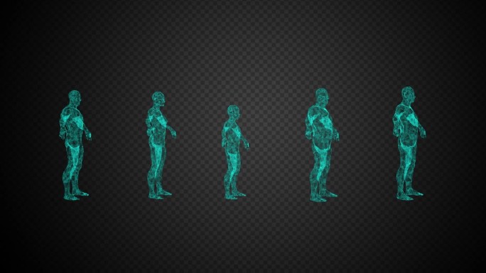 【科技】5个单独循环的人体科技数据