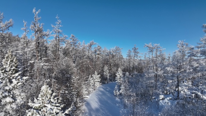 林海雪原雪林和山路