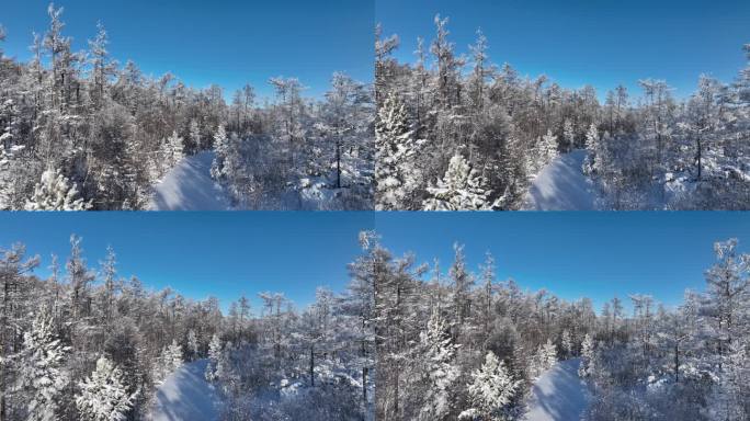 林海雪原雪林和山路