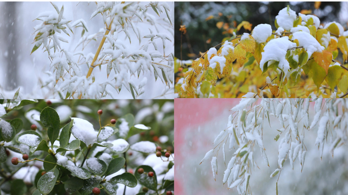 北京下雪唯美空镜合集