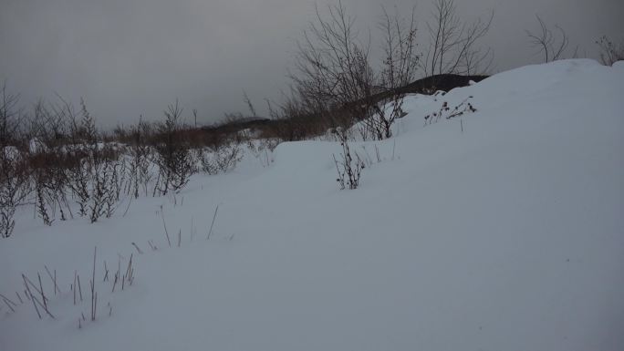 阴云密布乌云雪地荒野灰色云层恶劣天气