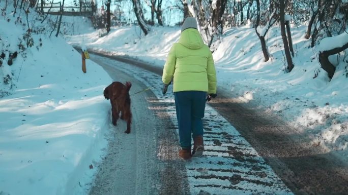 美丽的60多岁的老年妇女在冬季公园遛狗的快乐时刻的后视图。高质量的全高清镜头