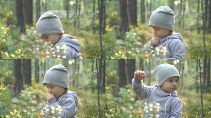 可爱的小男孩在森林里摘蓝莓。