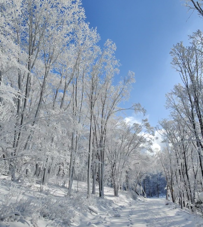 ⚝4K竖屏⚝原始素材东北雪景雾凇雪凇树挂