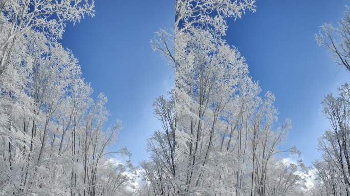 ⚝4K竖屏⚝原始素材东北雪景雾凇雪凇树挂