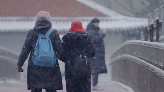 北京雪中老人母女搀扶走路背影，雪街道