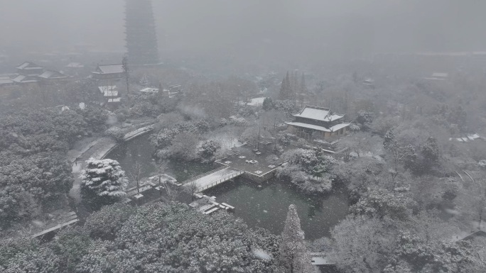 【4K高清原创】常州天宁寺红梅公园雪景