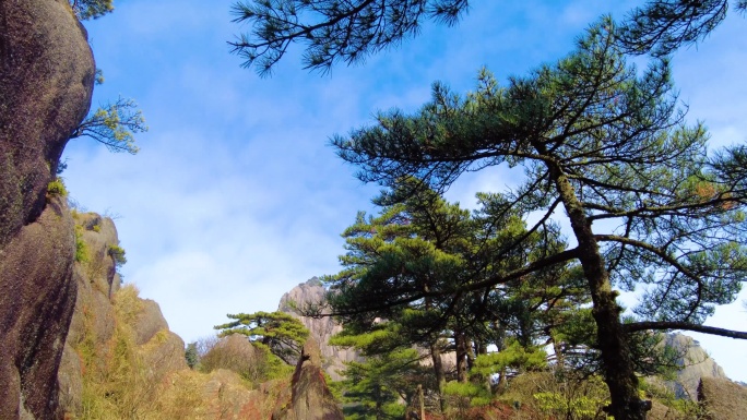 黄山壮观云海延时风景视频素材4