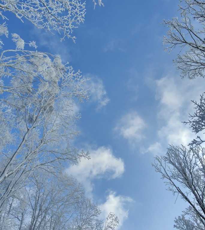 ⚝4K竖屏⚝原始素材东北雪景雾凇雪凇树挂