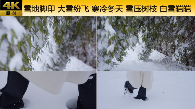 雪地脚印 大雪纷飞 寒冷冬天 雪压树枝