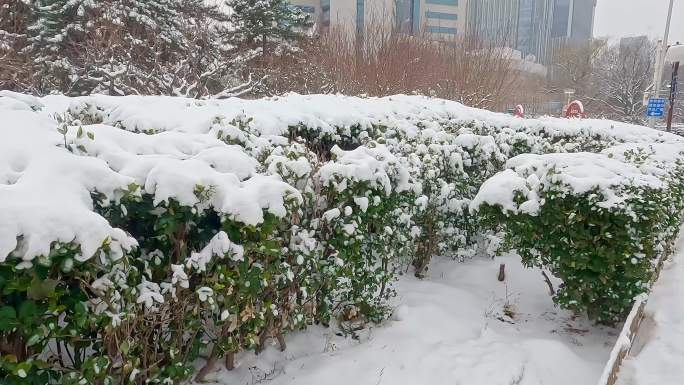 北京下大雪