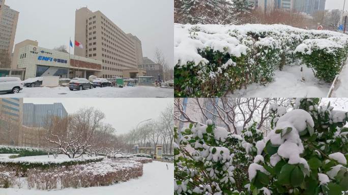 北京下大雪