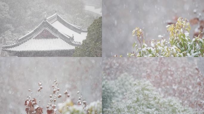 暴雪，大雪，下雪