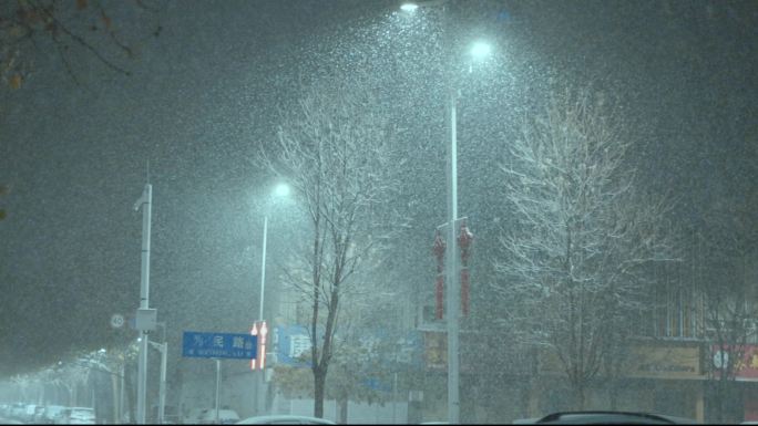 街道上路灯下雪片纷纷落下