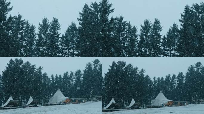 真实下雪 雪实拍