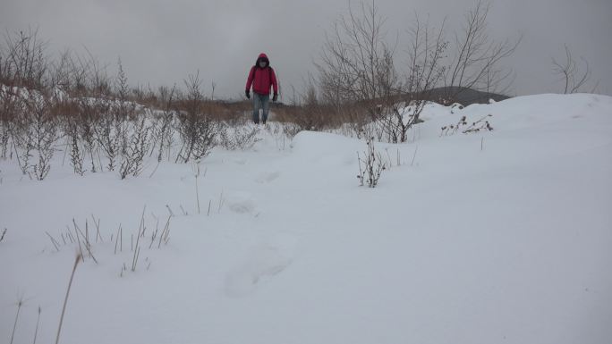 升格拍摄踏雪而行在雪地上行走雪地荒野