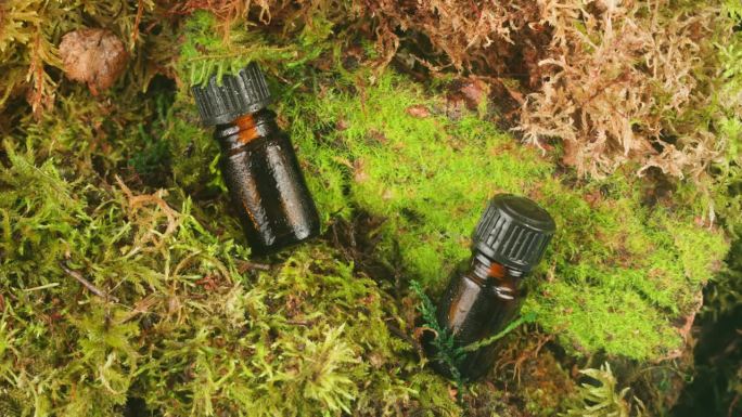 一瓶化妆品乳霜精华在苔藓森林背景绿叶。女性化妆健康的天然产品。