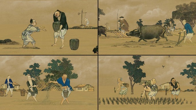 古代农业水稻种植