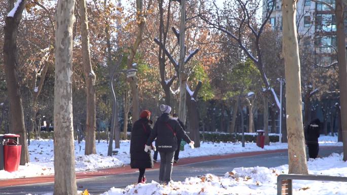 公园雪景玩耍散步游玩出游观赏雪女生冬天