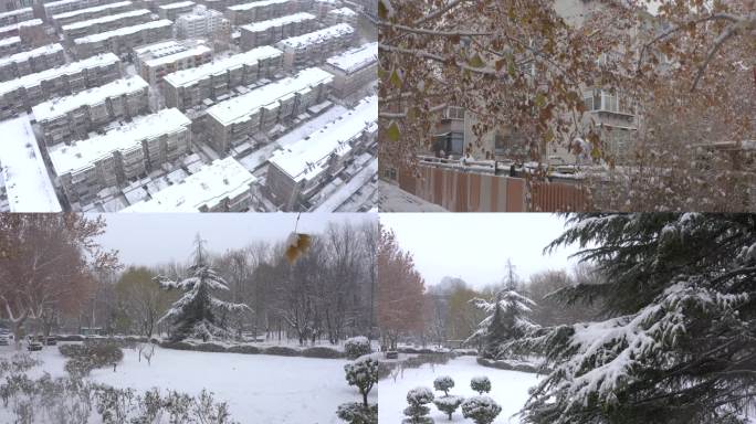 公园城镇树林街道下雪雪景