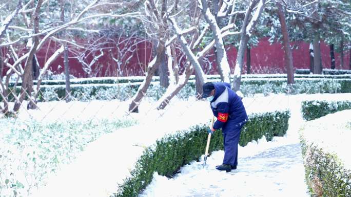 扫雪