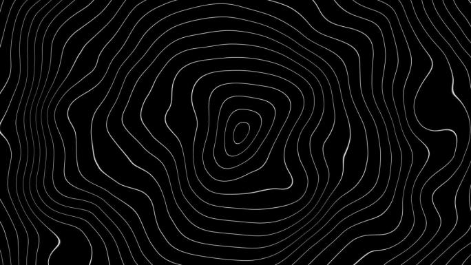 抽象动画轮廓地形等高线地图。黑色背景上移动的波浪。4K循环动画…