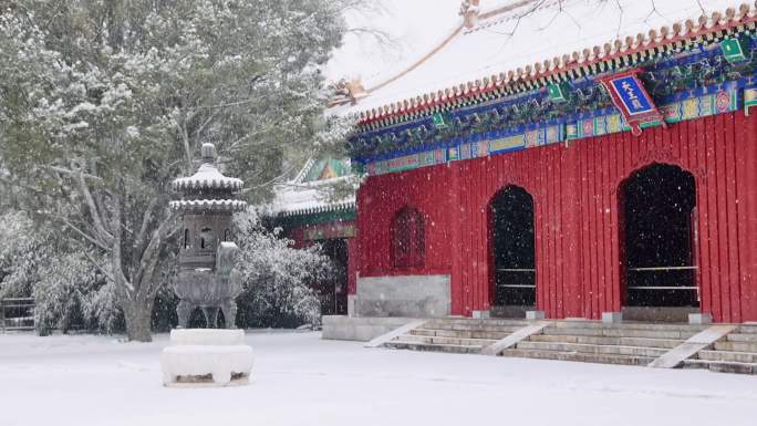实拍北京2023年初雪北海公园飘雪雪景