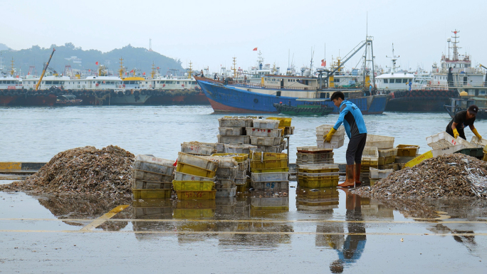 渔港海鲜市场渔船码头渔业生产海鱼渔民捕鱼
