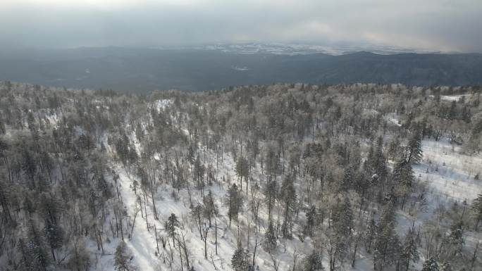 长白山雪岭晴朗天气航拍