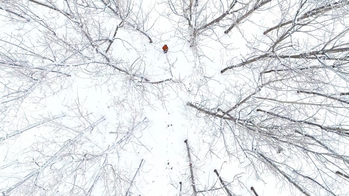 航拍俯拍一个人从雪后的树林走过