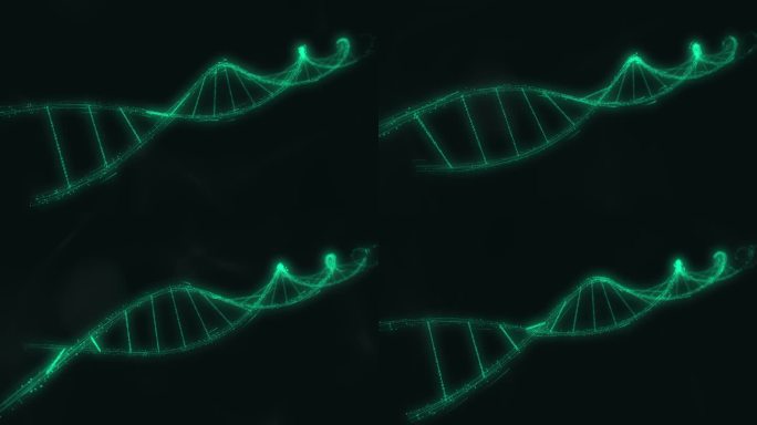 螺旋DNA