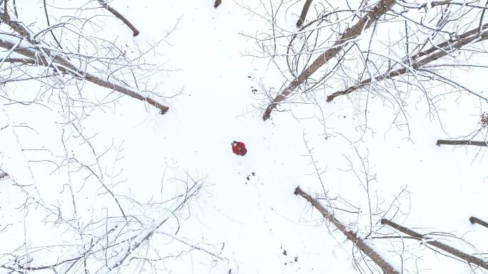俯拍大雪过后镜头从树林里慢慢上升