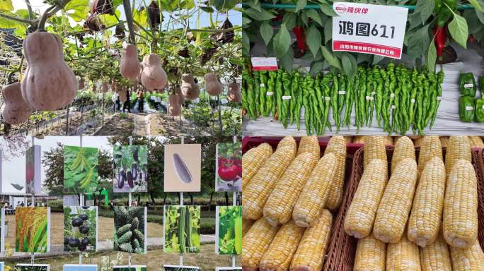 广东种业博览会广东种业大会